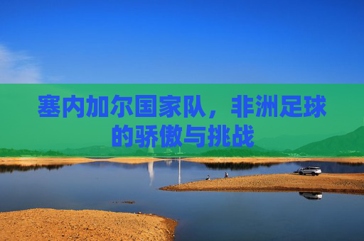 塞内加尔国家队，非洲足球的骄傲与挑战