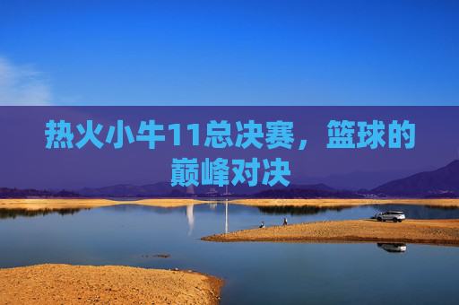 热火小牛11总决赛，篮球的巅峰对决