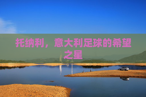 托纳利，意大利足球的希望之星