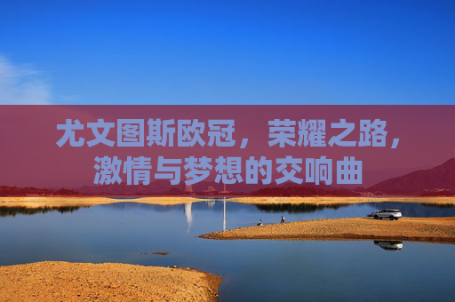 尤文图斯欧冠，荣耀之路，激情与梦想的交响曲