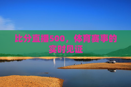 比分直播500，体育赛事的实时见证
