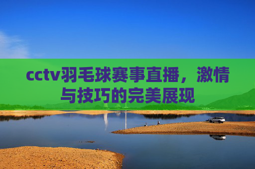cctv羽毛球赛事直播，激情与技巧的完美展现