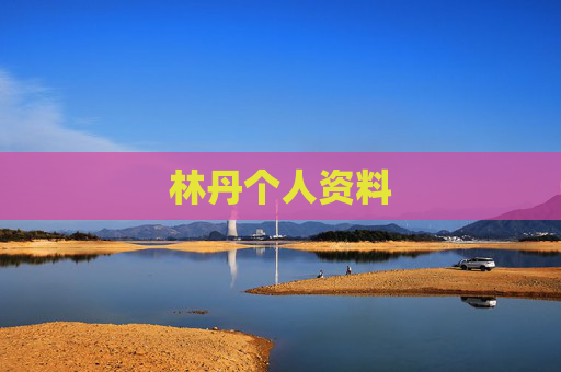 林丹个人资料