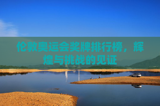伦敦奥运会奖牌排行榜，辉煌与挑战的见证