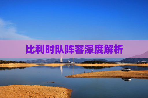 比利时队阵容深度解析