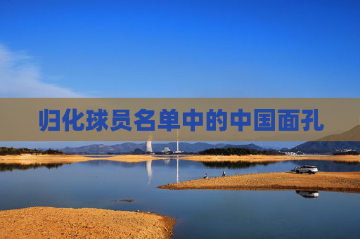 归化球员名单中的中国面孔