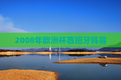 2008年欧洲杯西班牙阵容