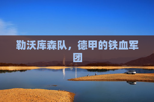 勒沃库森队，德甲的铁血军团