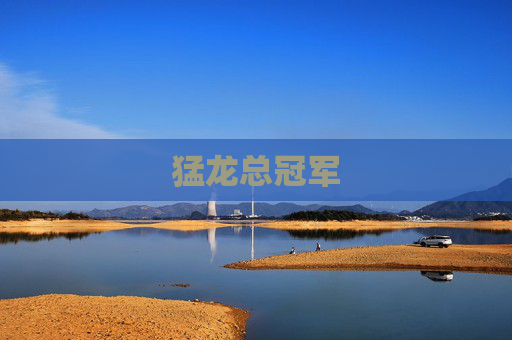猛龙总冠军