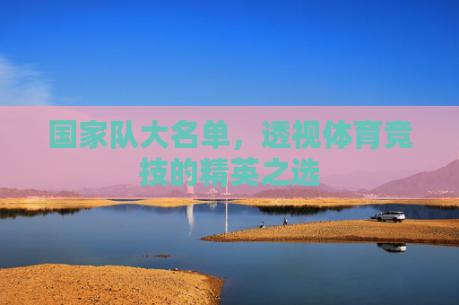 国家队大名单，透视体育竞技的精英之选