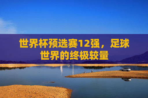 世界杯预选赛12强，足球世界的终极较量