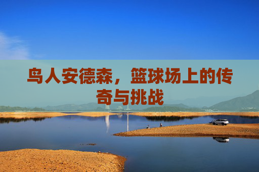 鸟人安德森，篮球场上的传奇与挑战
