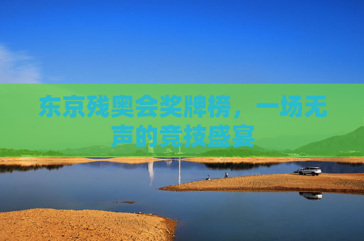 东京残奥会奖牌榜，一场无声的竞技盛宴