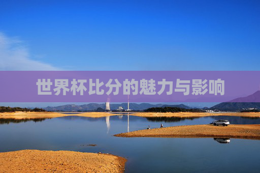 世界杯比分的魅力与影响