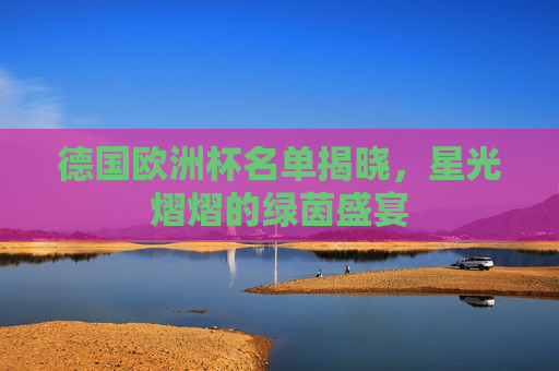 德国欧洲杯名单揭晓，星光熠熠的绿茵盛宴