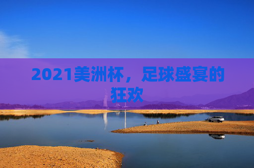 2021美洲杯，足球盛宴的狂欢