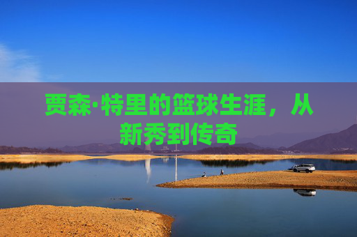 贾森·特里的篮球生涯，从新秀到传奇