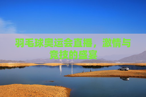 羽毛球奥运会直播，激情与竞技的盛宴