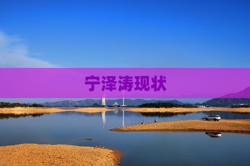 宁泽涛现状