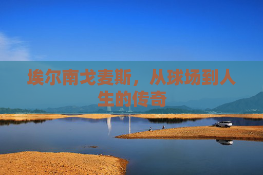 埃尔南戈麦斯，从球场到人生的传奇
