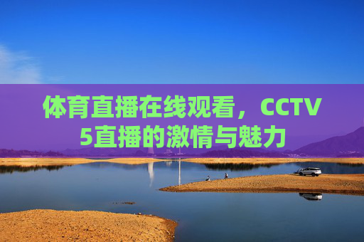 体育直播在线观看，CCTV5直播的激情与魅力