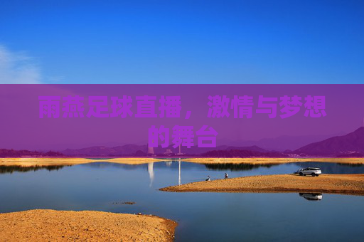 雨燕足球直播，激情与梦想的舞台
