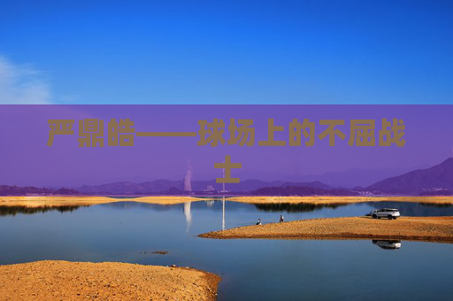 严鼎皓——球场上的不屈战士