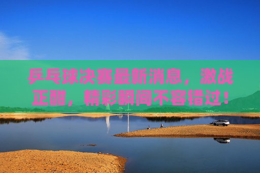 乒乓球决赛最新消息，激战正酣，精彩瞬间不容错过！