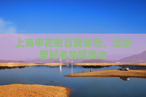上海申花吧百度贴吧，足球爱好者的聚集地