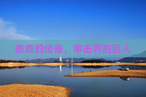 泰森的传奇，拳击界的巨人