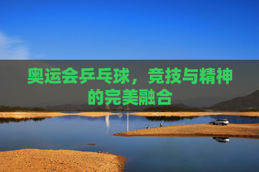 奥运会乒乓球，竞技与精神的完美融合