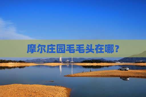 摩尔庄园毛毛头在哪? 摩尔庄园毛毛头在哪?