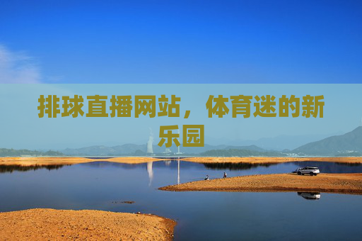 排球直播网站，体育迷的新乐园