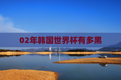 02年韩国世界杯有多黑