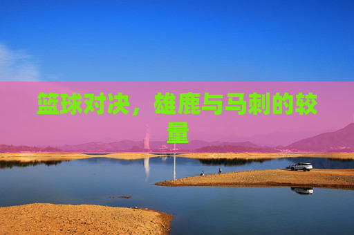 篮球对决，雄鹿与马刺的较量