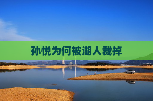 孙悦为何被湖人裁掉
