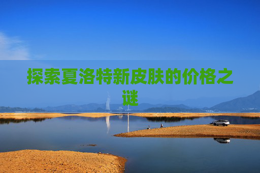 探索夏洛特新皮肤的价格之谜