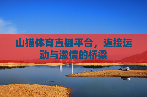 山猫体育直播平台，连接运动与激情的桥梁