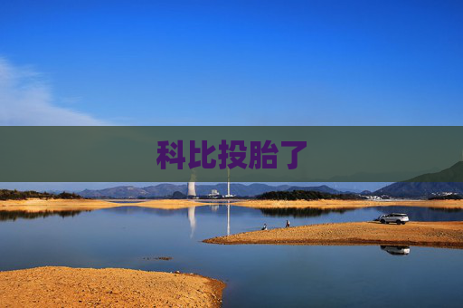科比投胎了