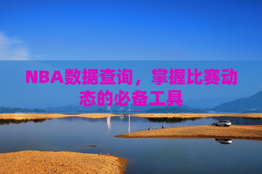 NBA数据查询，掌握比赛动态的必备工具