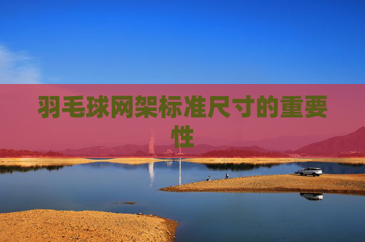 羽毛球网架标准尺寸的重要性