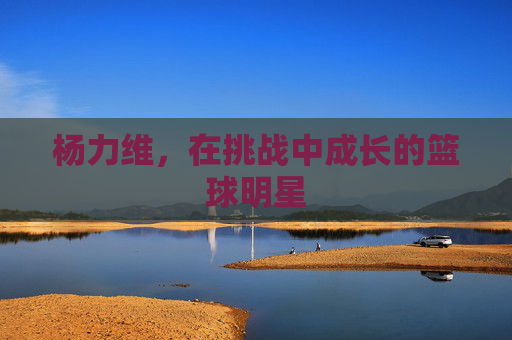 杨力维，在挑战中成长的篮球明星
