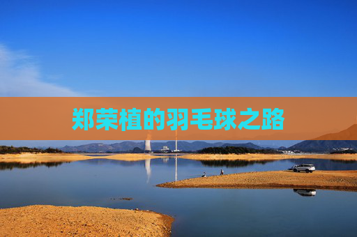 郑荣植的羽毛球之路