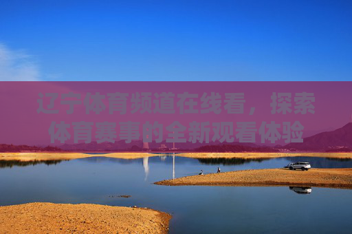 辽宁体育频道在线看，探索体育赛事的全新观看体验