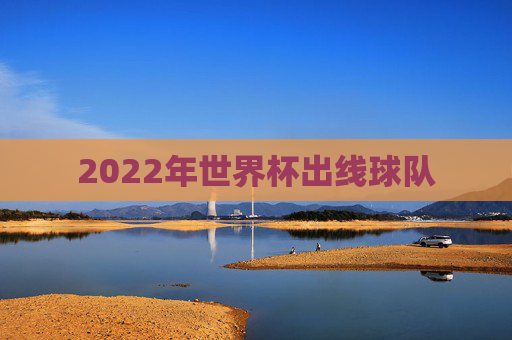 2022年世界杯出线球队