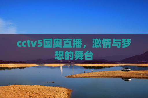 cctv5国奥直播，激情与梦想的舞台