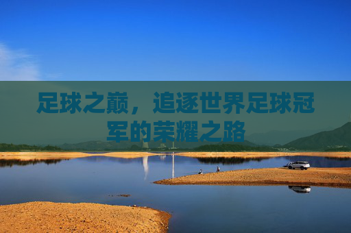 足球之巅，追逐世界足球冠军的荣耀之路