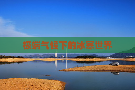 极端气候下的冰寒世界