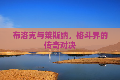 布洛克与莱斯纳，格斗界的传奇对决