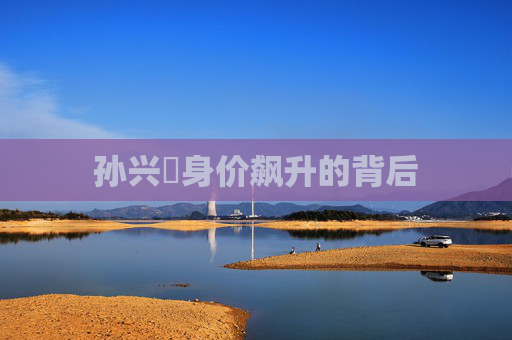 孙兴慜身价飙升的背后
